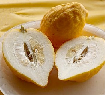 Citron